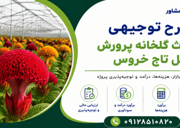 طرح احداث گلخانه پرورش گل تاج خروس