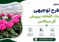 طرح احداث گلخانه پرورش گل سیکلامن
