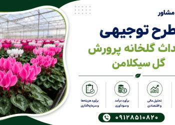 طرح احداث گلخانه پرورش گل سیکلامن