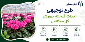 طرح احداث گلخانه پرورش گل سیکلامن