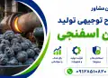 طرح تولید آهن اسفنجی