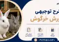 طرح پرورش خرگوش