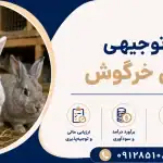 طرح پرورش خرگوش