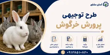 طرح پرورش خرگوش