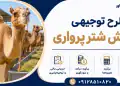 طرح پرورش شتر پرواری
