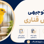 طرح پرورش قناری