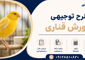 طرح پرورش قناری