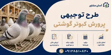 طرح پرورش کبوتر گوشتی