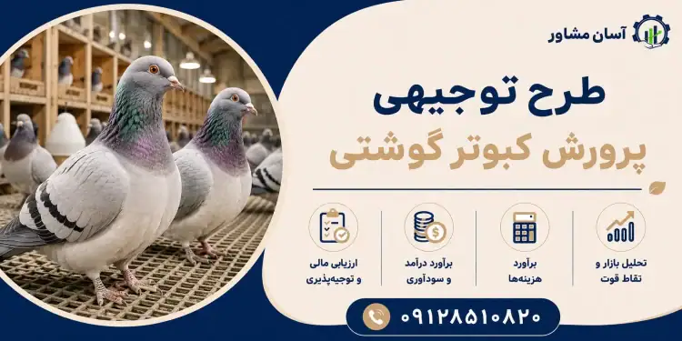 طرح پرورش کبوتر گوشتی