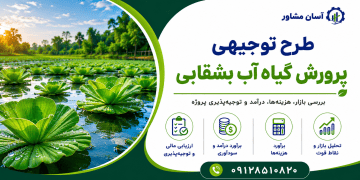 طرح پرورش گیاه آب بشقابی