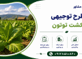 طرح کشت توتون