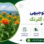 طرح کشت گلرنگ