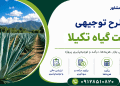 طرح کشت گیاه تکیلا