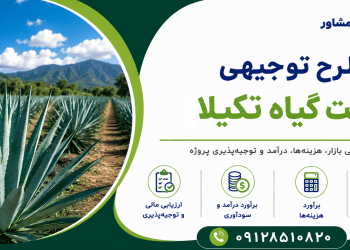 طرح کشت گیاه تکیلا