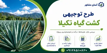 طرح کشت گیاه تکیلا
