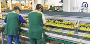 بررسی تجهیزات و تأسیسات احداث باغ گلابی