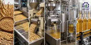 مراحل تولید روغن سویا راهنمای جامع برای کشاورزان و تولیدکنندگان