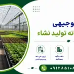 طرح احداث گلخانه تولید نشاء