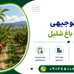 طرح احداث باغ شلیل