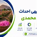 طرح احداث باغ گل محمدی