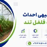 طرح احداث گلخانه فلفل تند