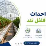 طرح احداث گلخانه فلفل تند