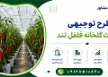 طرح احداث گلخانه فلفل تند