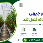 طرح احداث گلخانه فلفل تند