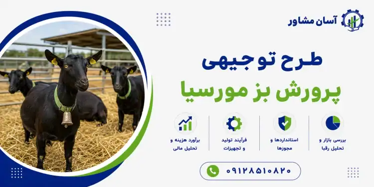 طرح پرورش بز مورسیا