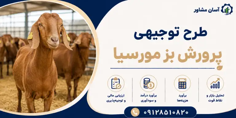 طرح پرورش بز مورسیا