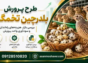 طرح پرورش بلدرچین تخمگذار