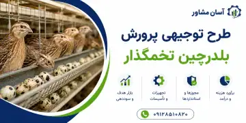 طرح پرورش بلدرچین تخمگذار