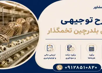 طرح پرورش بلدرچین تخمگذار