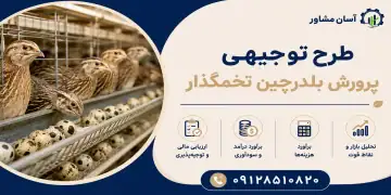 طرح پرورش بلدرچین تخمگذار