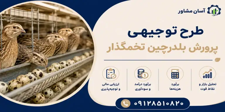 طرح پرورش بلدرچین تخمگذار