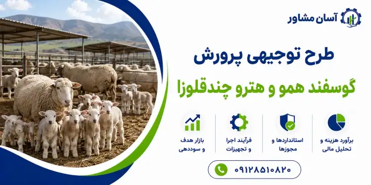 طرح پرورش گوسفند همو و هترو چندقلوزا