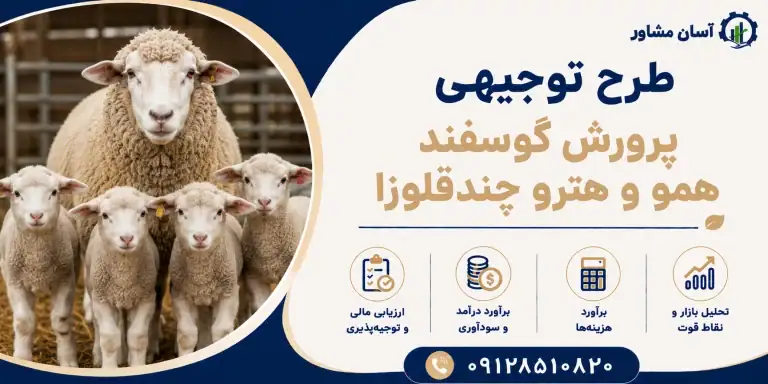 طرح پرورش گوسفند همو و هترو چندقلوزا