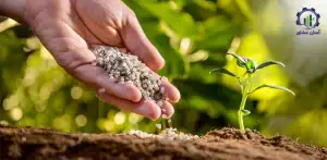 مراحل تولید کود میکرو راهنمای کاربردی برای تولیدکنندگان