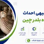 طرح احداث کشتارگاه بلدرچین