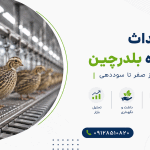 طرح احداث کشتارگاه بلدرچین