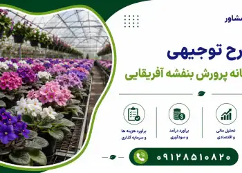 طرح احداث گلخانه پرورش بنفشه آفریقایی
