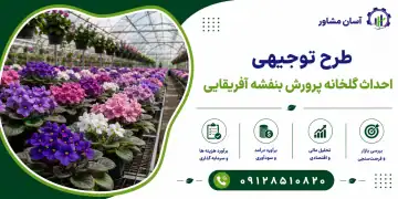 طرح احداث گلخانه پرورش بنفشه آفریقایی