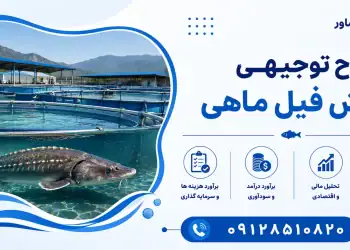 طرح پرورش فیل ماهی