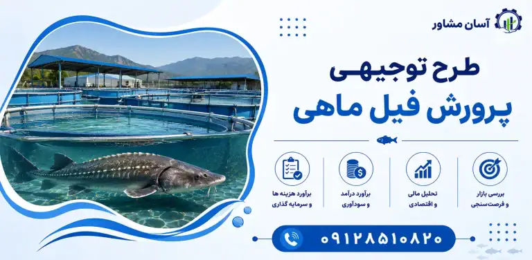 طرح پرورش فیل ماهی