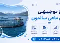 طرح پرورش ماهی سالمون