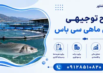 طرح پرورش ماهی سی باس