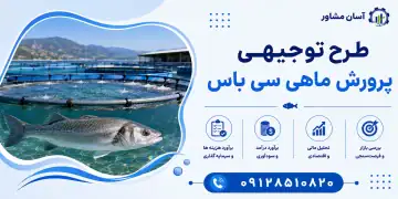 طرح پرورش ماهی سی باس