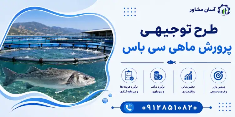 طرح پرورش ماهی سی باس