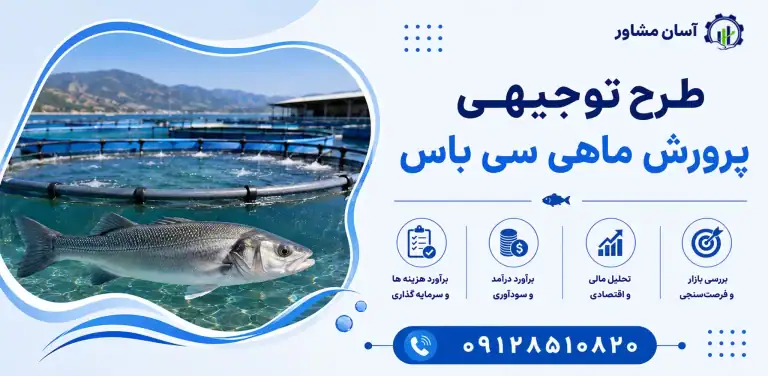 طرح پرورش ماهی سی باس