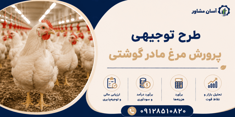 طرح پرورش مرغ مادرگوشتی
